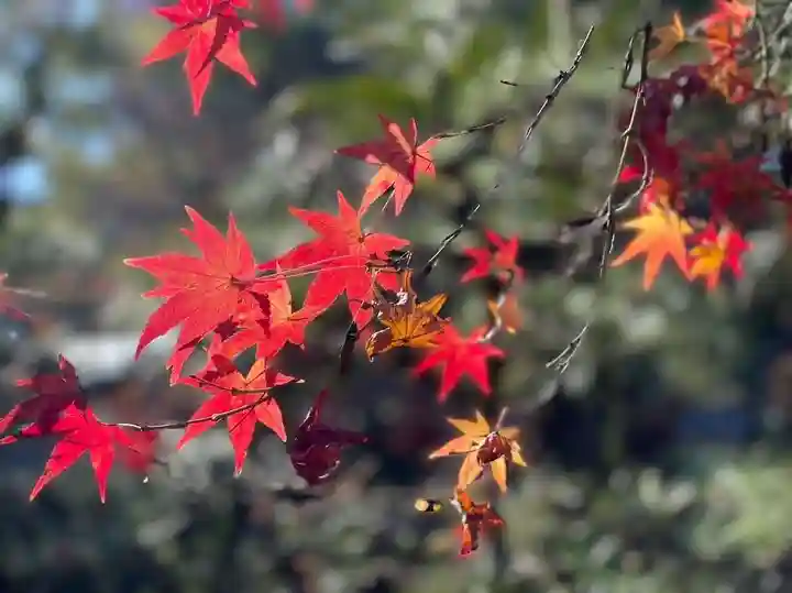 伊勢の国 四天王寺(三重県)
