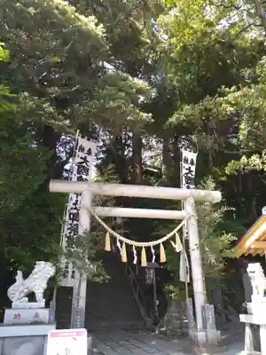 大國魂神社の鳥居