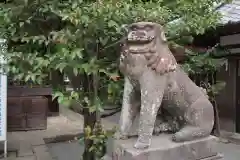 柳川総鎮守 日吉神社の狛犬