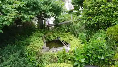 龍華寺の手水舎