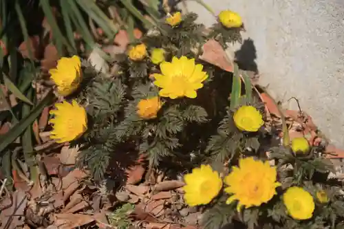 阿邪訶根神社の庭園