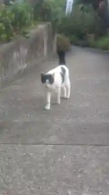 井際山 如意輪寺(愛知県)