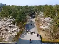 南禅寺の{uncategorized: "未分類", other: "その他", undefined: "問題あり", building: "その他建物", grave: "お墓", sacred_gate: "鳥居", guardian: "狛犬", statue: "像", buddha: "仏像", history: "歴史", nature: "自然", garden: "庭園", animal: "動物", pagoda: "塔", temizu: "手水舎", mountain_gate: "山門・神門", sanctuary: "本殿・本堂", subordinate: "末社・摂社", art: "芸術", scenery: "景色", jizo: "地蔵", ema: "絵馬", goshuin: "御朱印", omikuji: "おみくじ", items: "授与品その他", amulet: "お守り", goshuincho: "御朱印帳", eats: "食事", festival: "お祭り", votive_dance: "神楽", shichigosan: "七五三参", wedding: "結婚式", experience: "体験その他", initially: "初詣", around: "周辺", anti_infection: "感染症対策"}