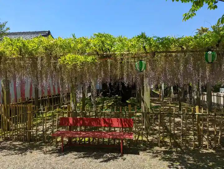 惣社神社(滋賀県)