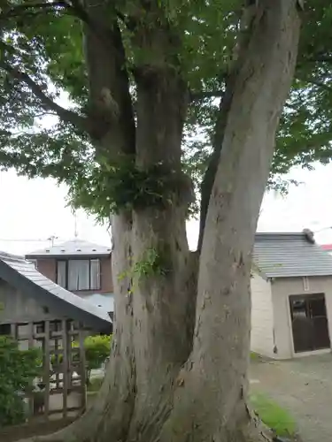 鮫八幡宮(青森県)