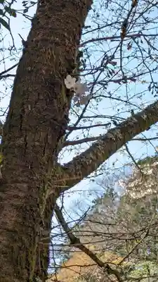 今熊野観音寺(京都府)