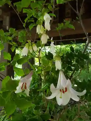 赤坂氷川神社(東京都)