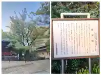 金王八幡宮の{uncategorized: "未分類", other: "その他", undefined: "問題あり", building: "その他建物", grave: "お墓", sacred_gate: "鳥居", guardian: "狛犬", statue: "像", buddha: "仏像", history: "歴史", nature: "自然", garden: "庭園", animal: "動物", pagoda: "塔", temizu: "手水舎", mountain_gate: "山門・神門", sanctuary: "本殿・本堂", subordinate: "末社・摂社", art: "芸術", scenery: "景色", jizo: "地蔵", ema: "絵馬", goshuin: "御朱印", omikuji: "おみくじ", items: "授与品その他", amulet: "お守り", goshuincho: "御朱印帳", eats: "食事", festival: "お祭り", votive_dance: "神楽", shichigosan: "七五三参", wedding: "結婚式", experience: "体験その他", initially: "初詣", around: "周辺", anti_infection: "感染症対策"}