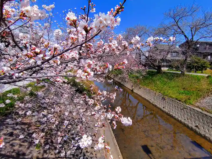 黒龍大権現(黒龍神社)の周辺