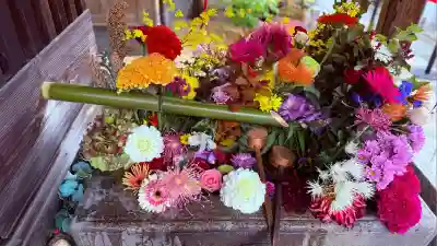 勝林寺(京都府)