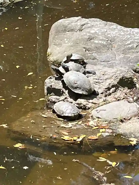 和樂備神社(埼玉県)
