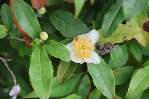 豊景神社の庭園