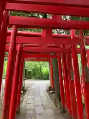 武蔵一宮氷川神社の鳥居