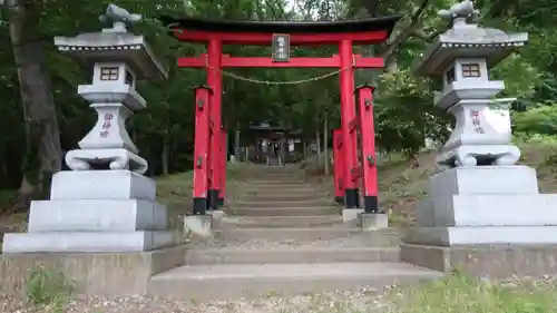 福井神社の鳥居