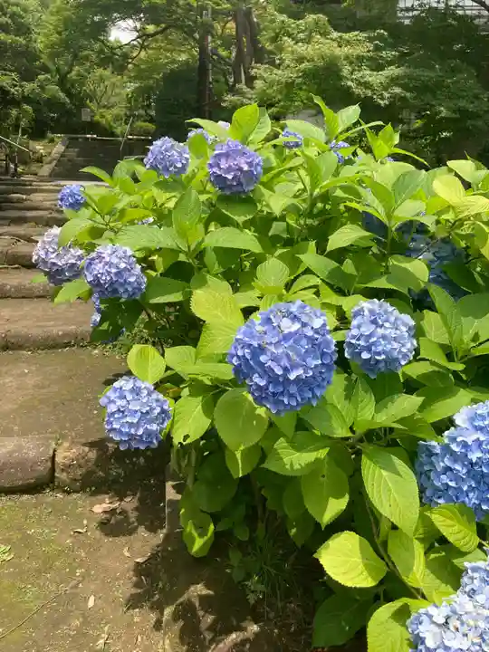 天源院(神奈川県)