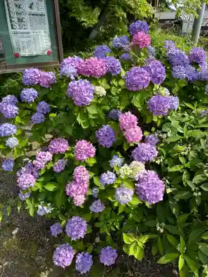 日雲神社(滋賀県)