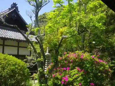 浄光明寺のその他建物