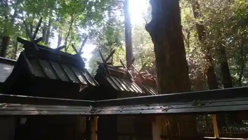 鹿島神社の本殿