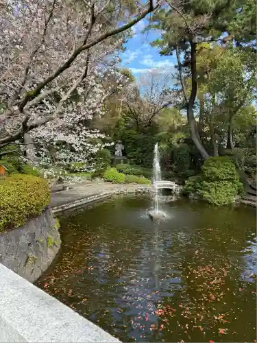 寒川神社(神奈川県)