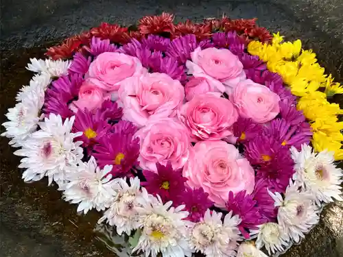 真言宗　善通寺派　薬王寺(香川県)