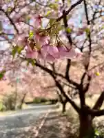井田神社(静岡県)