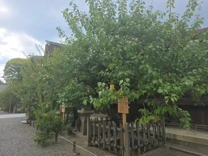 北野天満宮(京都府)