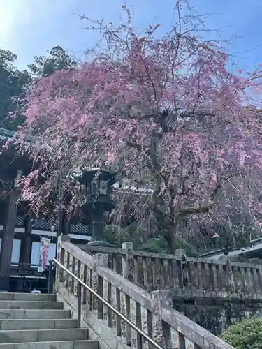 最乗寺（道了尊）(神奈川県)