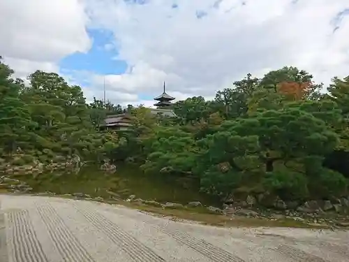 仁和寺の庭園