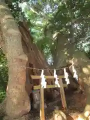 住吉神社(山口県)