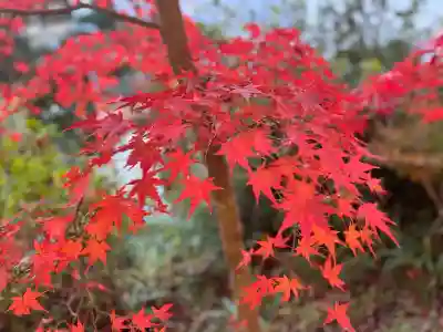 善水寺(滋賀県)