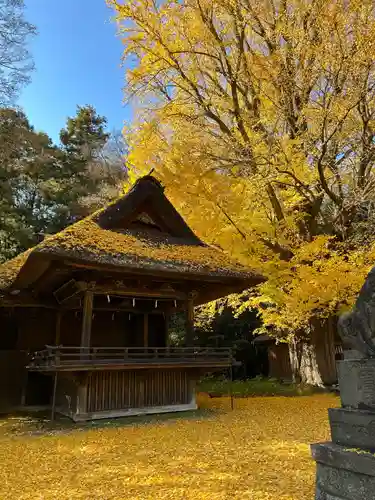玉敷神社(埼玉県)