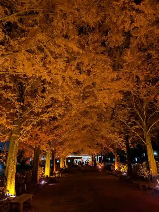 野木神社(栃木県)