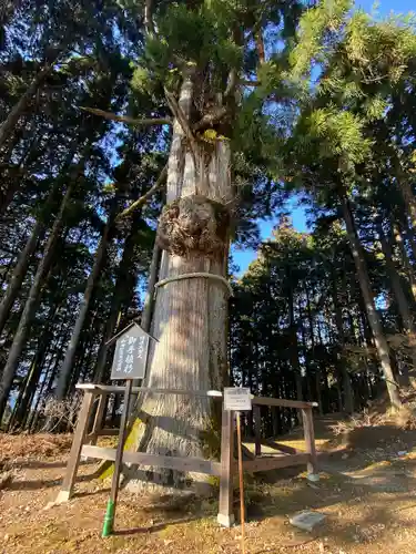 身延山奥之院思親閣(山梨県)