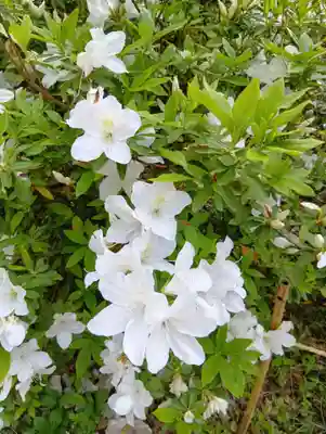 刺田比古神社(和歌山県)