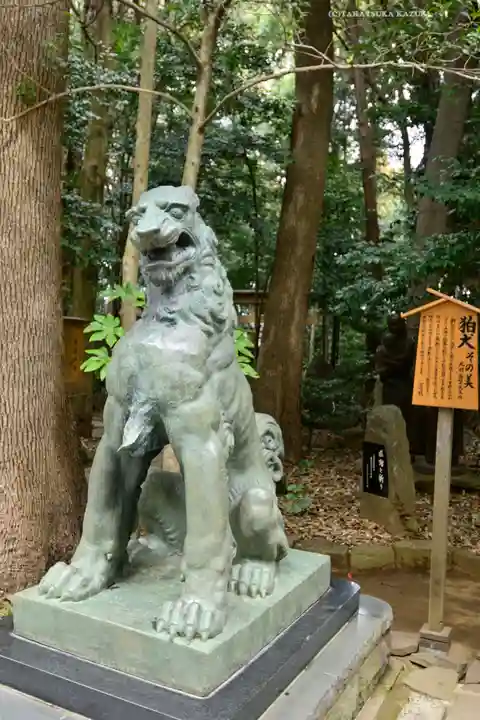 駒木諏訪神社(千葉県)