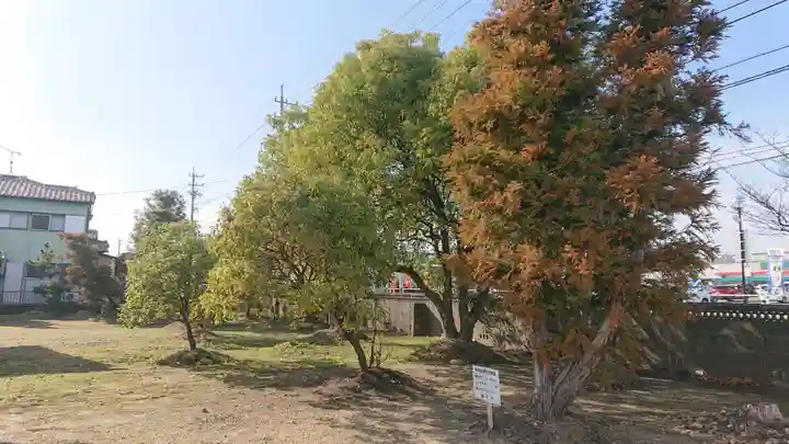 八龍社(稲島)の景色
