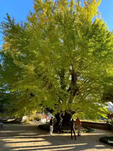 浄善寺の{uncategorized: "未分類", other: "その他", undefined: "問題あり", building: "その他建物", grave: "お墓", sacred_gate: "鳥居", guardian: "狛犬", statue: "像", buddha: "仏像", history: "歴史", nature: "自然", garden: "庭園", animal: "動物", pagoda: "塔", temizu: "手水舎", mountain_gate: "山門・神門", sanctuary: "本殿・本堂", subordinate: "末社・摂社", art: "芸術", scenery: "景色", jizo: "地蔵", ema: "絵馬", goshuin: "御朱印", omikuji: "おみくじ", items: "授与品その他", amulet: "お守り", goshuincho: "御朱印帳", eats: "食事", festival: "お祭り", votive_dance: "神楽", shichigosan: "七五三参", wedding: "結婚式", experience: "体験その他", initially: "初詣", around: "周辺", anti_infection: "感染症対策"}