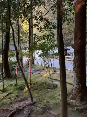 狭井坐大神荒魂神社(狭井神社)(奈良県)