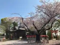 尾曳稲荷神社(群馬県)