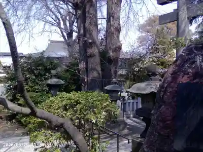葛西神社の{uncategorized: "未分類", other: "その他", undefined: "問題あり", building: "その他建物", grave: "お墓", sacred_gate: "鳥居", guardian: "狛犬", statue: "像", buddha: "仏像", history: "歴史", nature: "自然", garden: "庭園", animal: "動物", pagoda: "塔", temizu: "手水舎", mountain_gate: "山門・神門", sanctuary: "本殿・本堂", subordinate: "末社・摂社", art: "芸術", scenery: "景色", jizo: "地蔵", ema: "絵馬", goshuin: "御朱印", omikuji: "おみくじ", items: "授与品その他", amulet: "お守り", goshuincho: "御朱印帳", eats: "食事", festival: "お祭り", votive_dance: "神楽", shichigosan: "七五三参", wedding: "結婚式", experience: "体験その他", initially: "初詣", around: "周辺", anti_infection: "感染症対策"}