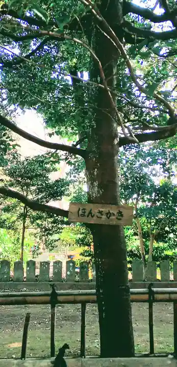 香取神社の自然