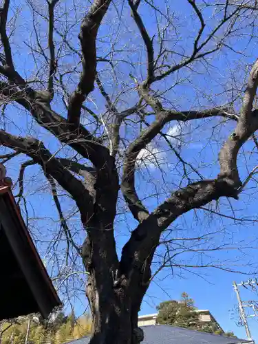天神社(神奈川県)