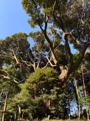 小高神社の自然
