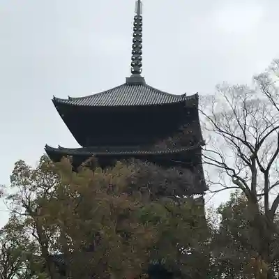 東寺(教王護国寺)の塔