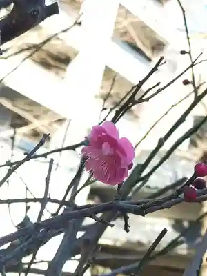 小野照崎神社(東京都)
