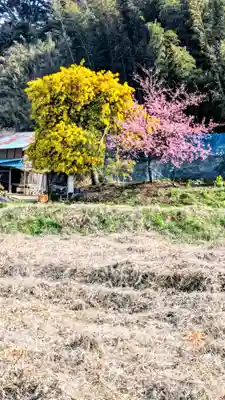 七百餘所神社 の景色