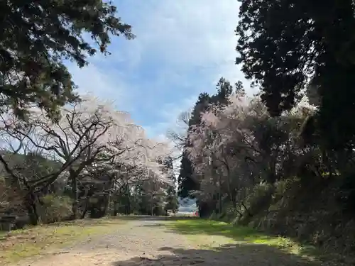 大宮温泉神社(栃木県)