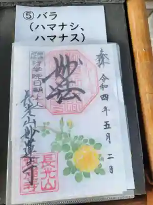 黄色いバラ