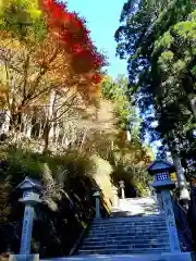 秋葉山本宮 秋葉神社 上社の建物その他