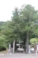 宝泉寺のその他建物